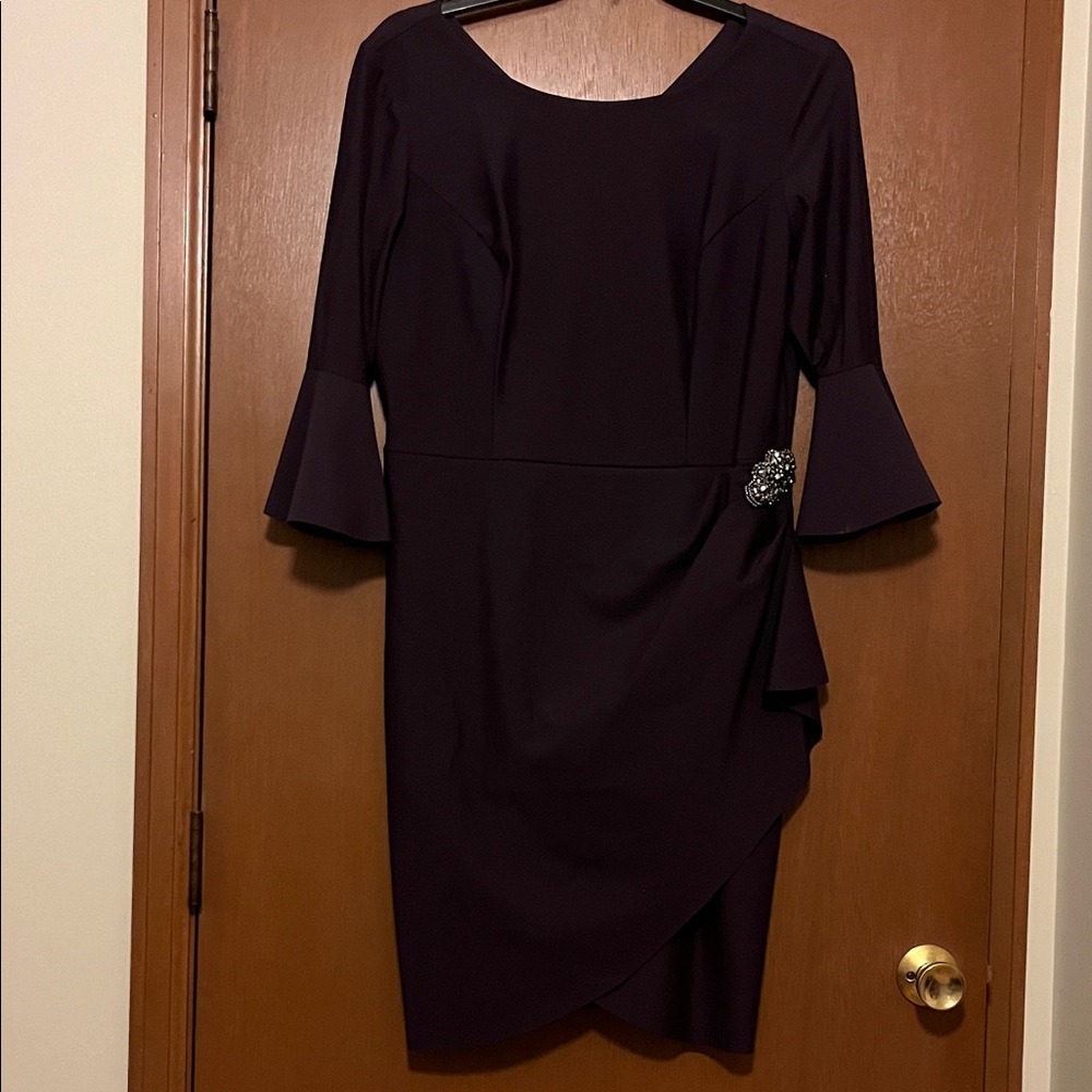Alex Evenings Deep Purple Long Sleeve Dress with Brooch